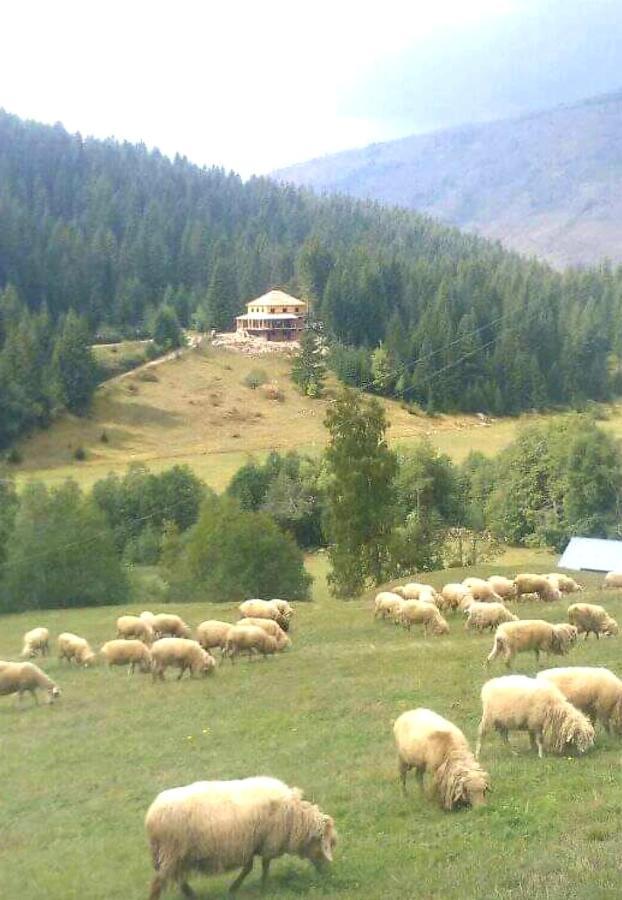 Vila Isov Ranch Plav Exteriér fotografie