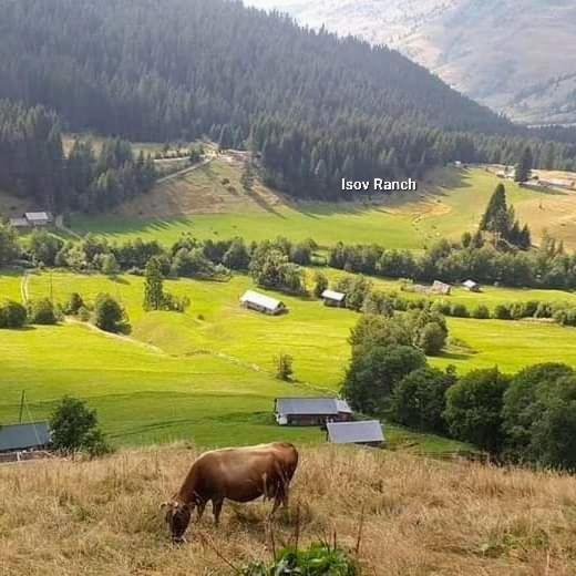 Vila Isov Ranch Plav Exteriér fotografie