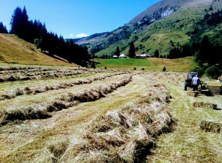 Vila Isov Ranch Plav Exteriér fotografie