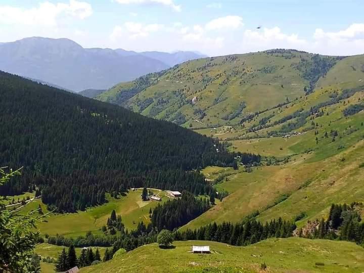 Vila Isov Ranch Plav Exteriér fotografie