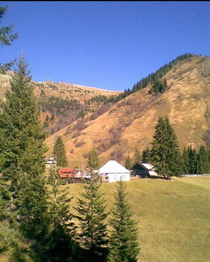 Vila Isov Ranch Plav Exteriér fotografie